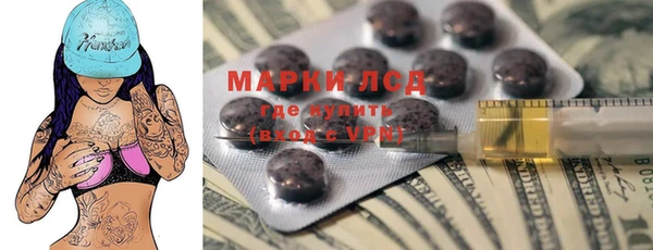 бошки Пересвет